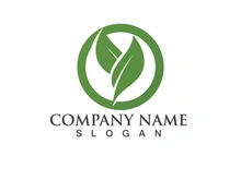 Green leaf logo Vector