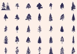 Silhouettes Trees Set, Pine Tree fir pruce cedar white patch alder elm birch ash cypress beech palm tree.