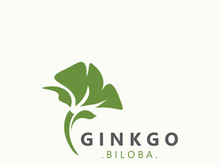 Ginkgo biloba leaf logo. can be used for herbal health products modern style logo design template