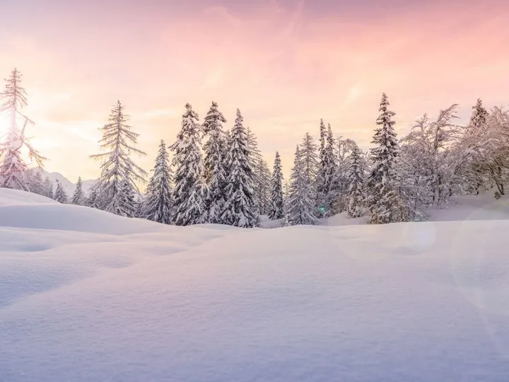 Winter sunset in the snowy forest