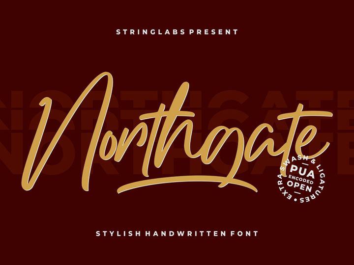 Northgate - Stylish Handwritten Font