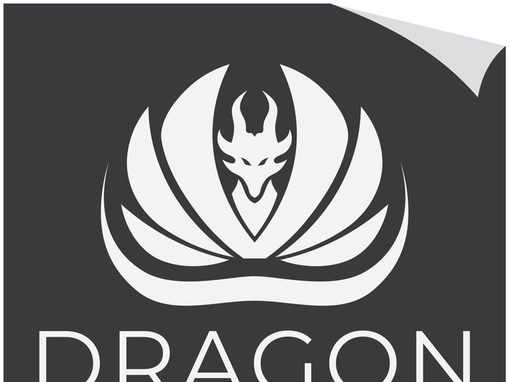 Dragon logo art illustration