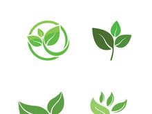 Logos of green tree leaf ecology nature element vector