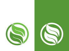 Logos of green tree leaf ecology nature element vector