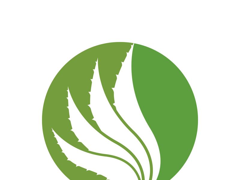 Aloe Vera logo icon design symbol beauty skin care