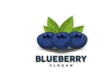 Blueberry Logo, Garden Farm Fresh Fruit Vector, Elegant Simple Design