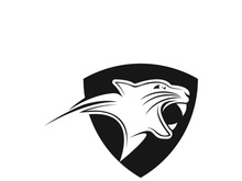 Panther head logo icon vector design template illustration