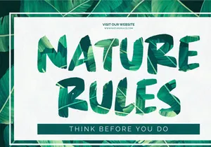 Great Paradise - Bold Display Font