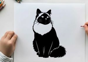 Silhouette of a sitting cat with white fur around neck