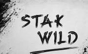 Tearmark Brush – Bold Grunge Brush Font