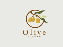 Olive Oil Logo, Olive Leaf Plant Herbal Garden Vector
