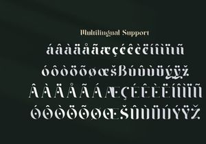 Braga Serif - Classic & Modern