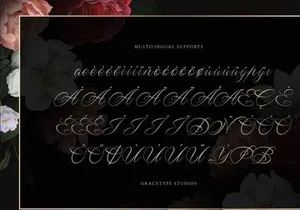 Wistallion | Classic Calligraphy