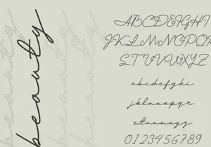 Andalusia a Beautiful Script Font