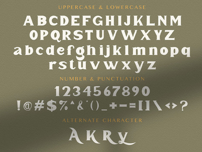 Mister Saefudin - Elegant Serif Font