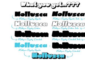Mollusca Font Trio | Doodle Font