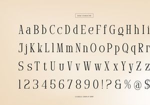 Arnnelo | Modern Display Serif