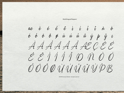 Moonlit Muse | Handwritten Script Font