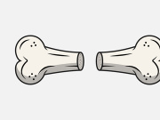 Broken Bone. Bone Fracture. Cute Dog Crack and Splint Bones. Dangerous Situation by Trauma to the Body. Vector Illustration for T Shirt Design and Other Usages.