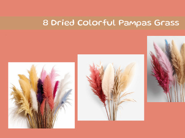 Dried Colorful Pampas Grass preview picture