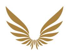 Wings logo