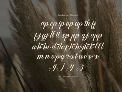 Larfioda | Elegant Script Font