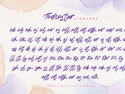 Tadcaster - Bold Script Font