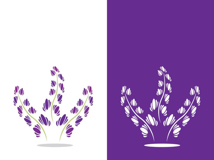 Fresh lavender flower logo vector flat design