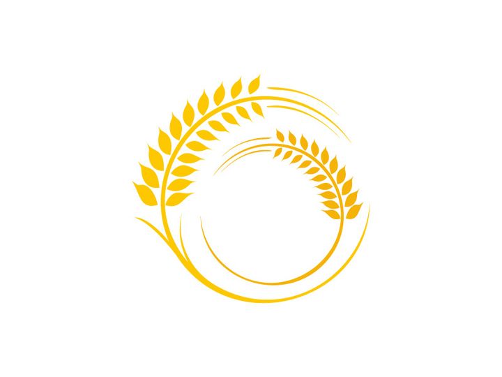 Agriculture wheat rice icon illustration