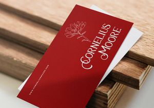 Avins Bake - Decorative Serif Font