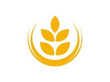 Agriculture wheat rice icon illustration