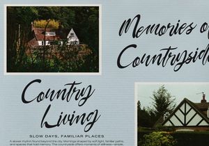 Velmaford | Casual Elegant Script