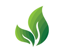 Leaf logo