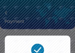 Payment details and Transaction success screens