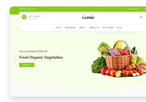 Econic Ecommerce Website Design