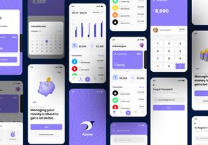 Airpay - Finance App UI Kit