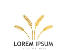 Organic wheat farm logo template.