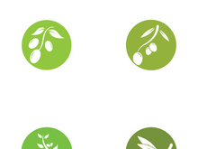 Branched olive fruit logo with creative idea.
