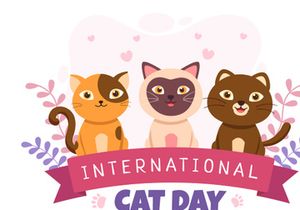 15 International Cat Day Illustration