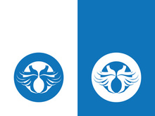 Dove bird logo vector design illustration