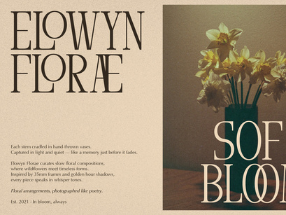 Arnnelo | Modern Display Serif