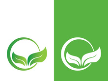 Logos of green tree leaf ecology nature element vector