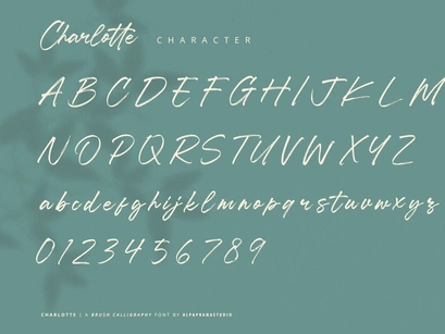 Charlotte - Brush Calligraphy Font