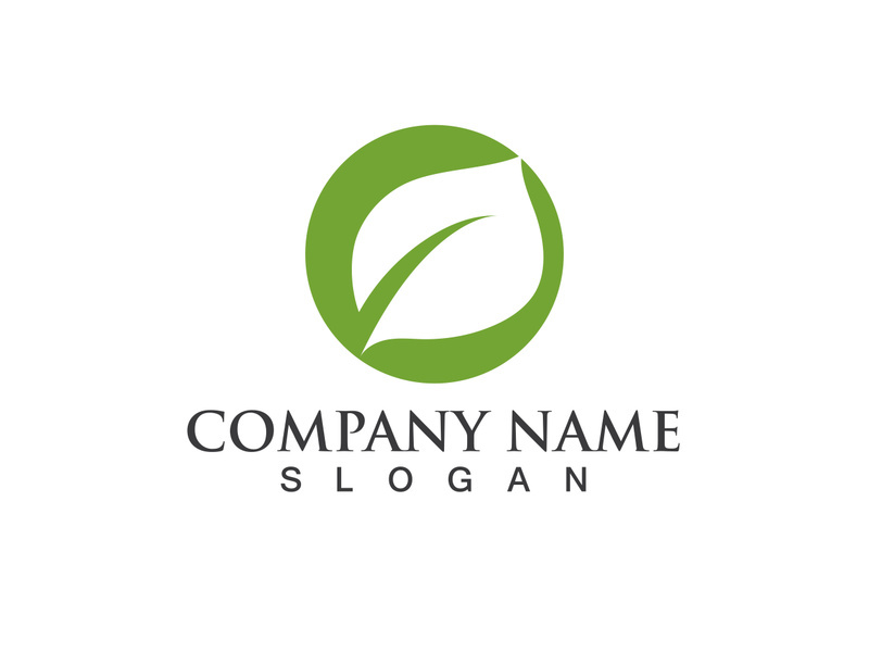 Green leaf logo Vector