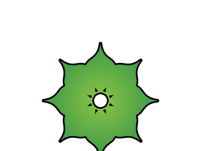 Beauty Vector lotus flowers design logo Template icon