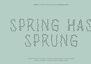 Shine - Decorative Display Font