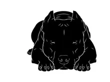 Silhouette of a dog lying down in a relaxed position
