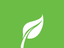 Leaf logo green nature vector image