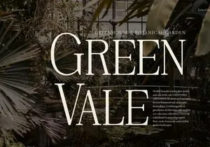Rinovich | Display Serif Font