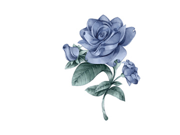 Vector Flower Watercolor Illustration preview picture